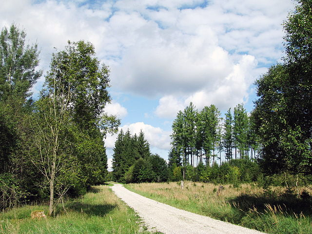 Forstenrieder Park bei Fürstenried