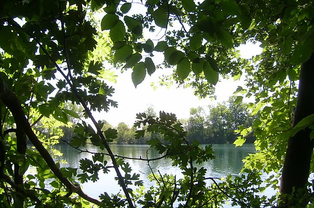 langwieder see aubing münchen 48.198099837383154, 11.414636128365641
